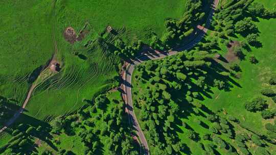 新疆伊犁那拉提国家森林公园HDR航拍