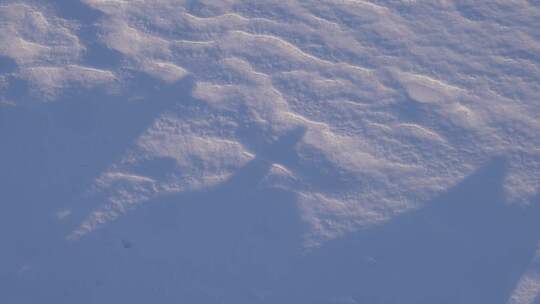 雪地光影视频视频素材模板下载