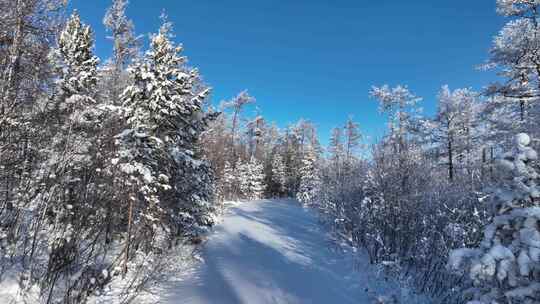 林海雪原雪林和山路