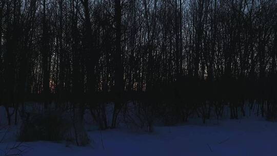 清晨雪原森林大地航拍
