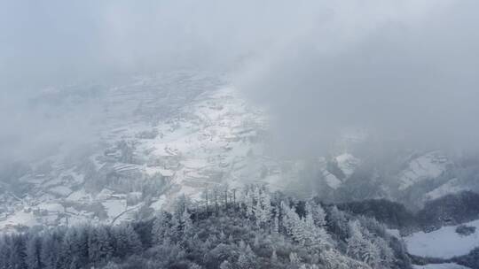 无人机4k航拍雪山云海延时