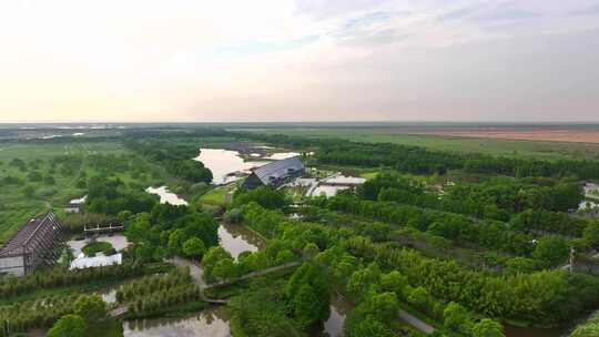 航拍上海崇明岛东滩湿地公园 国家级保护区