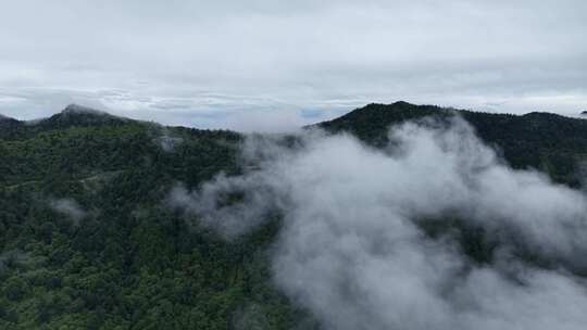 川西王岗坪景区航拍云海雪山壮丽风光
