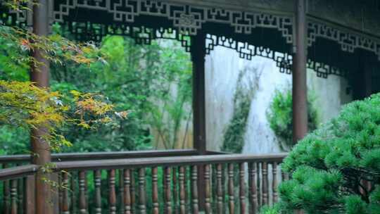 杭州西湖郭庄园林江南烟雨