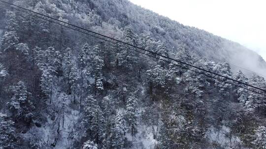 航拍佛教名山四川峨眉山，云海缭绕树林白雪