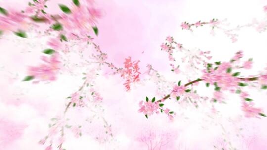 [4K]最美樱花季文字标题AE模板