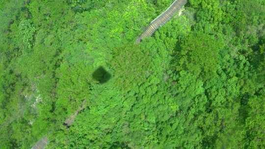 香港离岛大屿山缆车索道俯瞰海岛森林