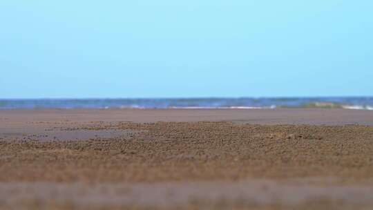 海滩与浪花