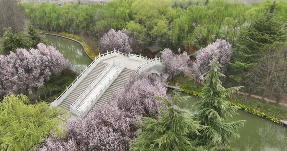 洛阳隋唐遗址植物园开元大道春天公园道路