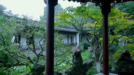 杭州西湖郭庄园林江南烟雨