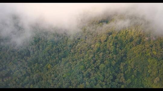 航拍山腰森林云雾缭绕风景