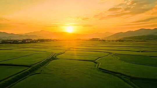 梯田云海田园乡村农业自然日出云雾梦幻风景