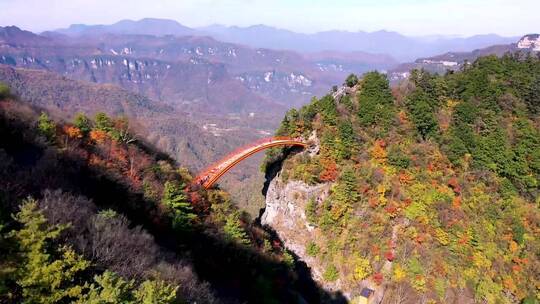 风景这边独好，花海，治愈系风景，日落