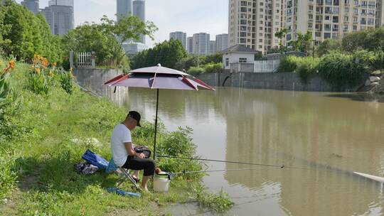 夏日清晨钓鱼的人