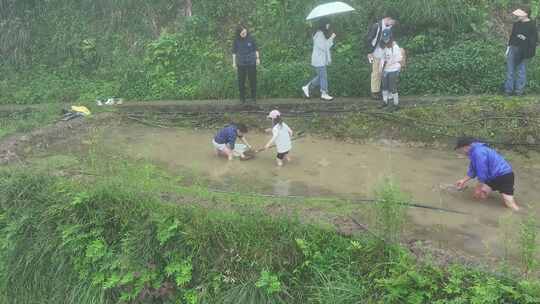 梯田混水摸鱼