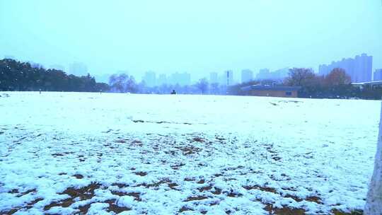 西安大明宫遗址公园大雪雪景视频素材模板下载