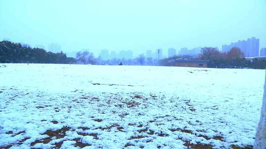 西安大明宫遗址公园大雪雪景