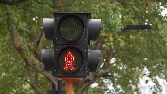 移动交通灯行人红灯转绿灯视频素材模板下载