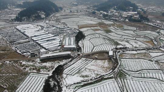 航拍冬天农田农作物雪景视频素材模板下载