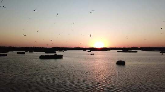 日落 海鸥水面 海边湖边