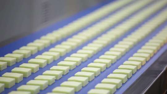 食品加工车间流水线