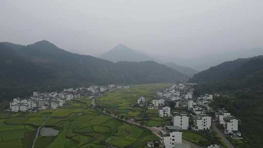 安徽江岭油菜花徽派建筑群航拍