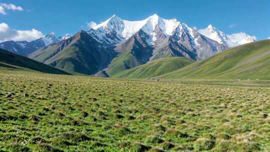 草原雪山自然风光全景
