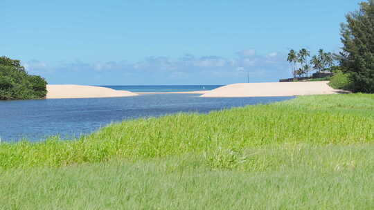 Waimea Bay Beach on