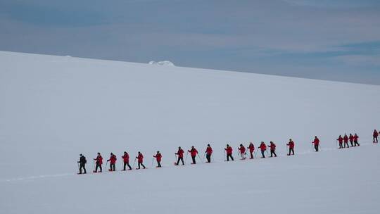 旅行团在南极洲半岛徒步旅行
