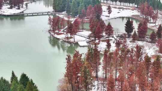 航拍湿地公园雪景树林湖岛木屋鸟类杉树木视频素材模板下载