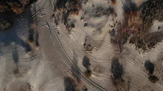 俯拍沙地