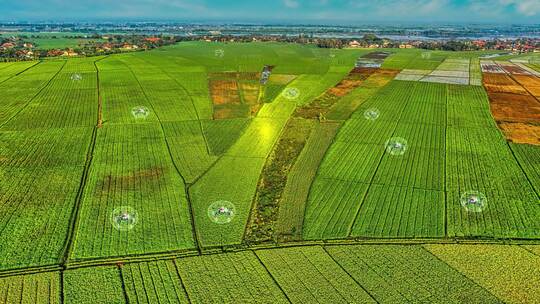 植保无人机喷洒农药播种智慧农业视频素材模板下载