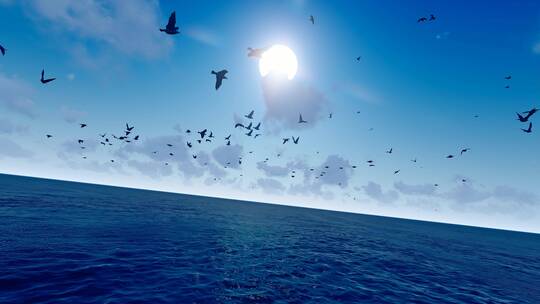 4k 早晨海面日出海鸥自由飞翔视频素材模板下载