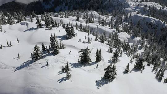 在加拿大的雪地上滑雪