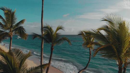 热带海滩棕榈树风景视频素材模板下载