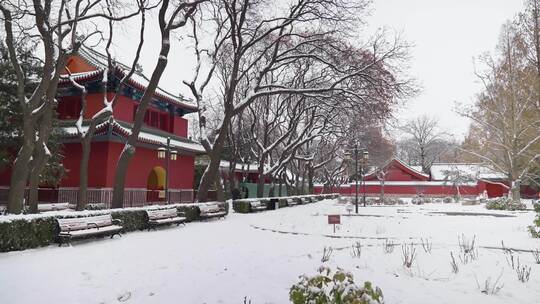 日坛公园雪景