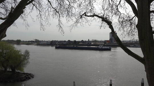 荷兰莱茵河里的驳船