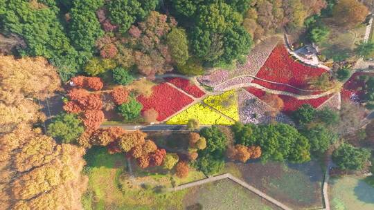 湖北武汉中科院植物园秋季风光