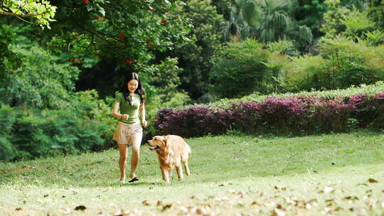 亚洲美女和宠物狗金毛犬在公园里奔跑慢镜头