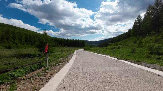 开车视角 白天 行驶在公路上