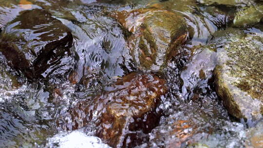 流淌的天然山泉水溪水