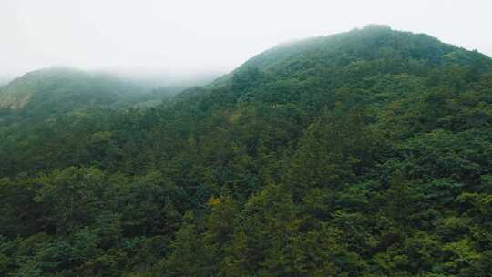 云雾山水 青岛崂山 三标山 森林