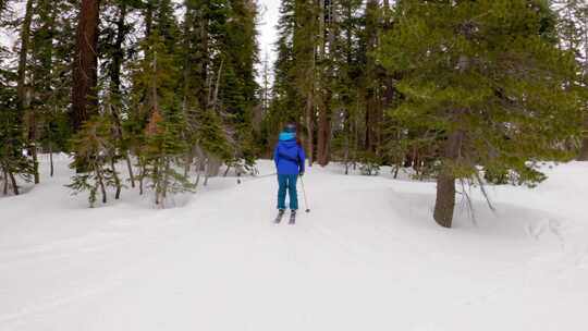 单板滑雪，雪，山，滑雪