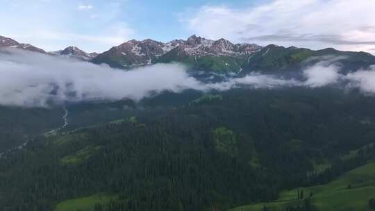 航拍新疆雪山森林风光