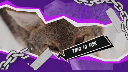 动漫卡通展示照片标题字幕条介绍频道AE模板