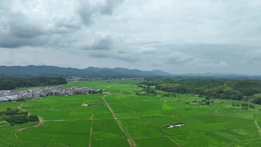 美丽乡村航拍田园风光绿色农村鸟瞰田野风景