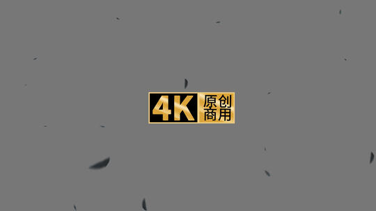 4K树叶飘落含通道高清在线视频素材下载