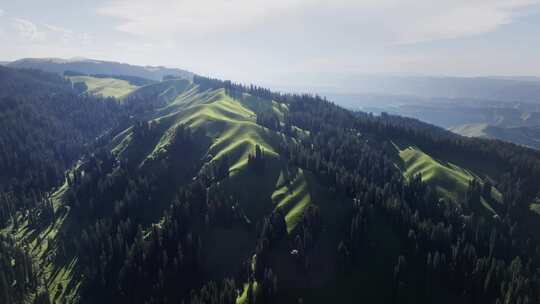 山林间的航拍全景