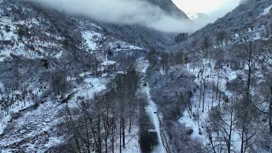 航拍四川阿坝四姑娘山双桥沟冬季雪景风光