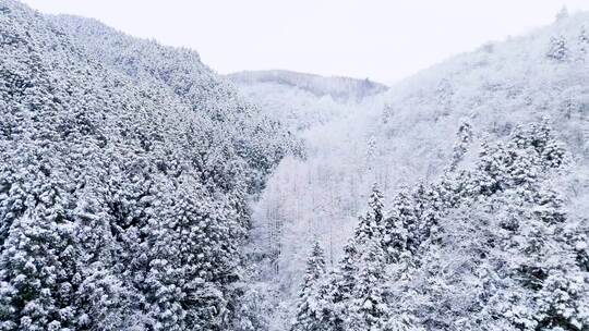 航拍山王坪冬天雪景